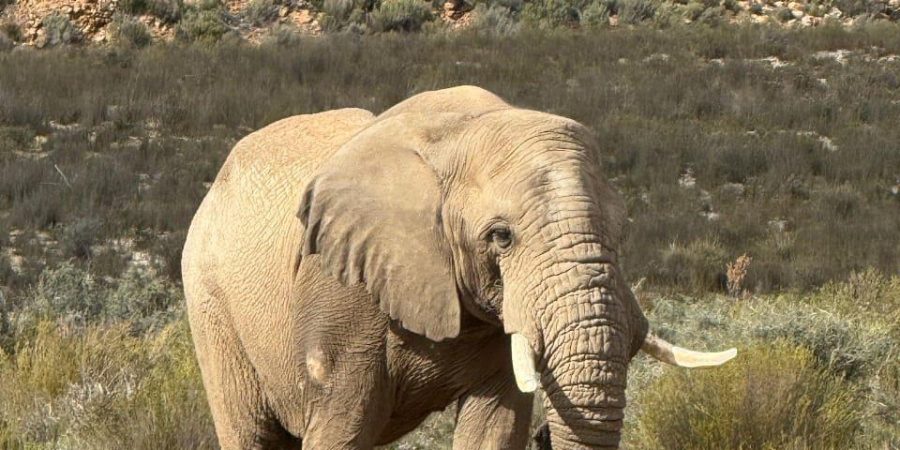 WhatsApp Image 2025-09-08 at 8.56.16 PM