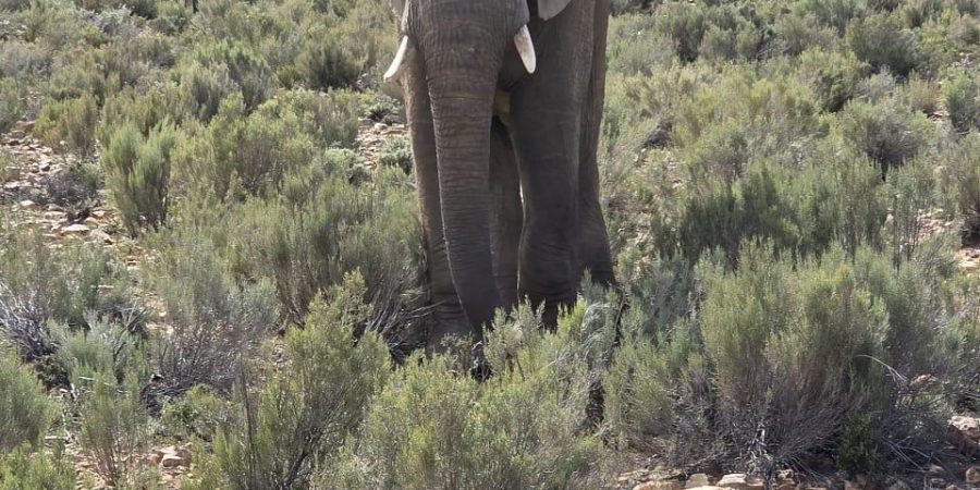 WhatsApp Image 2025-09-08 at 8.56.17 PM