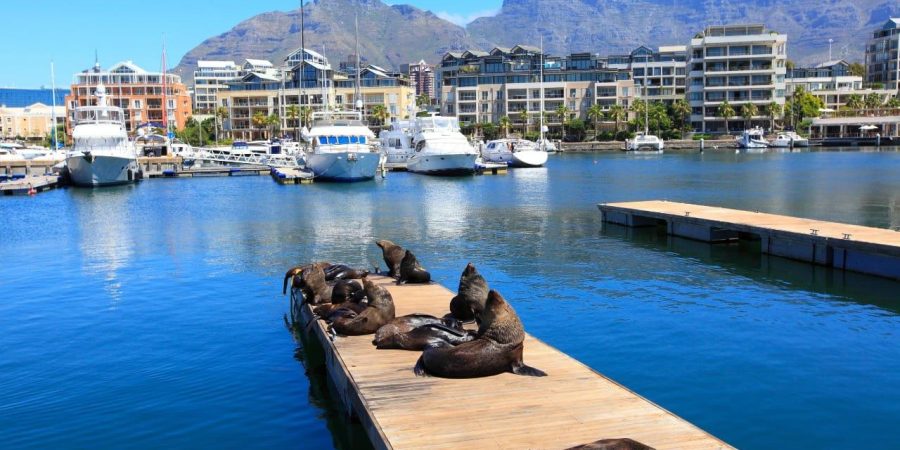 WhatsApp Image 2025-09-08 at 8.56.18 PM