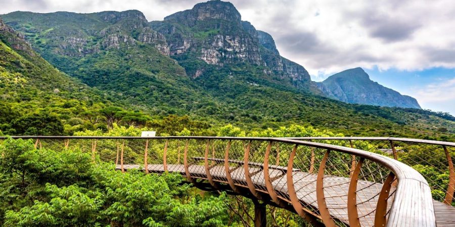 WhatsApp Image 2025-09-08 at 8.56.21 PM (1)